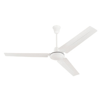 Fans Ceiling Fans by Westinghouse Lighting ( 88 | 7840900 Jax ) 